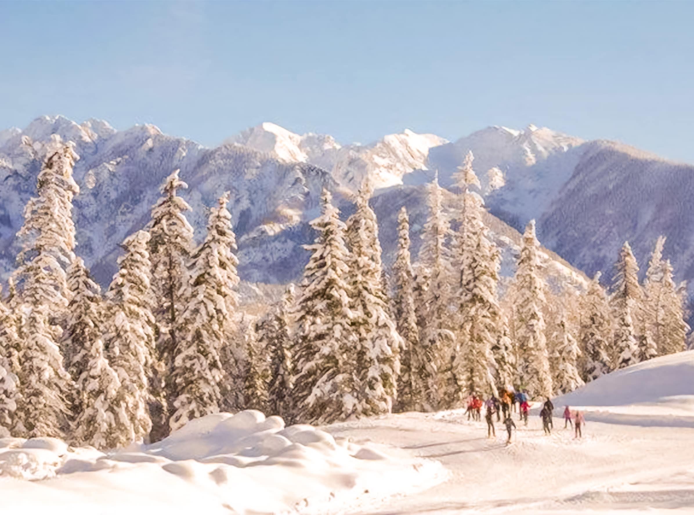 Purgatory Snowcat Adventures - Purgatory Resort in Durango, Colorado