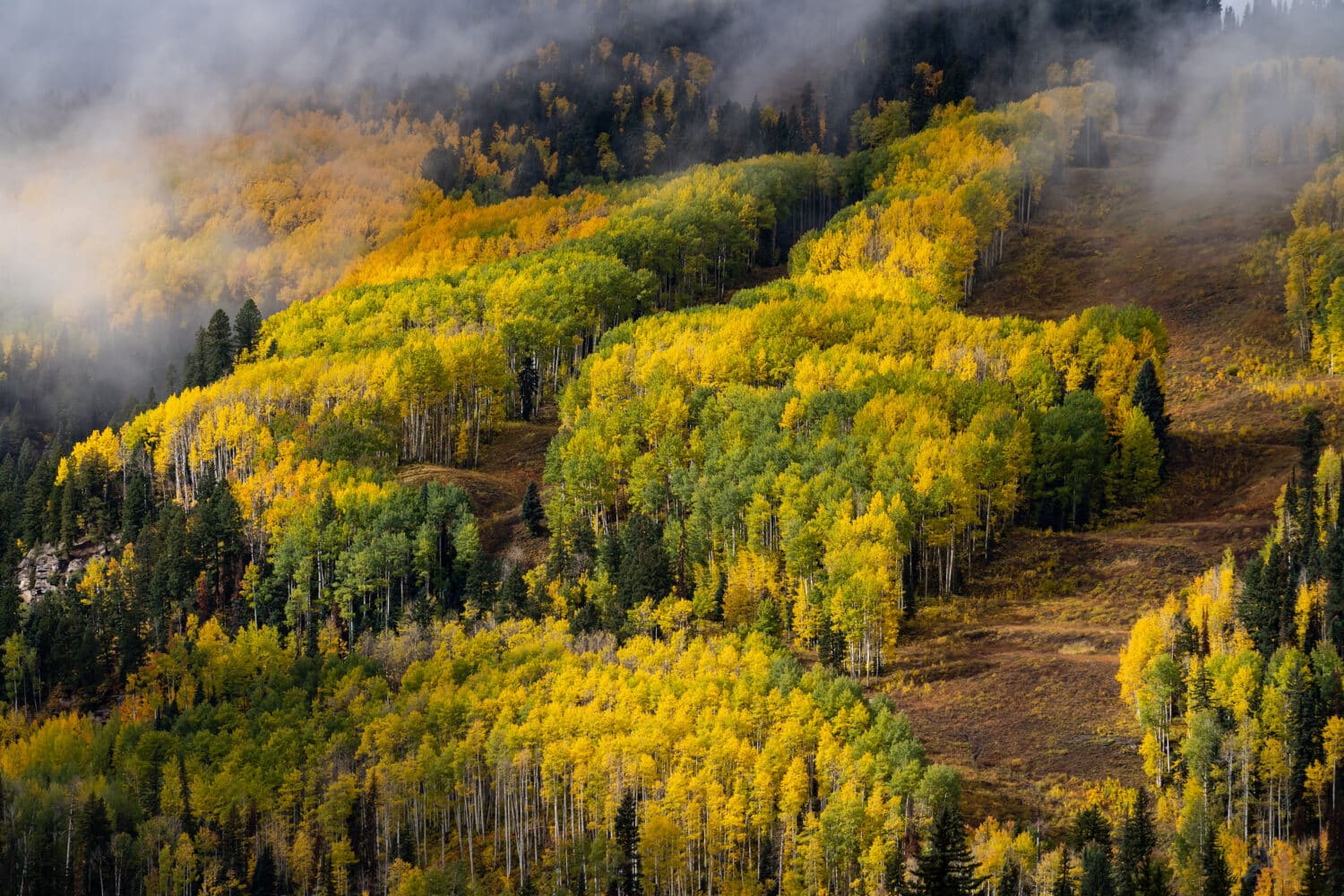 Purgatory Resort - Paradise in the San Juan Mountains