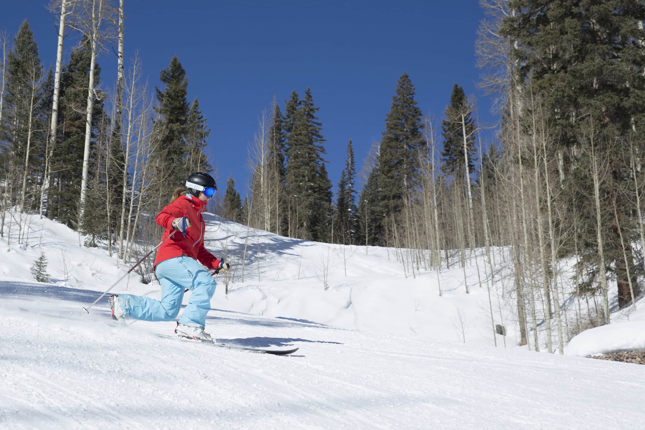 telemark skier shredding