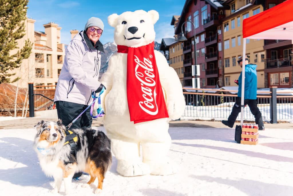 Puppy and Coca Cola Bear